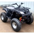 Электроквадроцикл Бизон 1000XL Черный